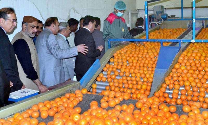 Strategy in the works for boosting horticulture exports to $1bn