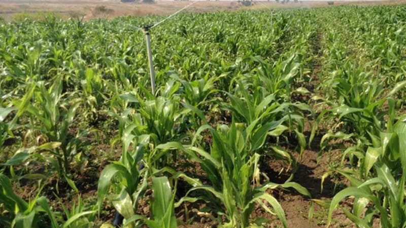 Agriculture Support Fund panel approves Rs 22.5 million projects