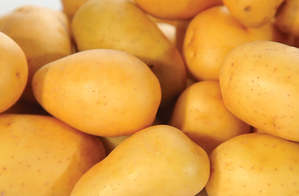 India- High output keeps potato prices down