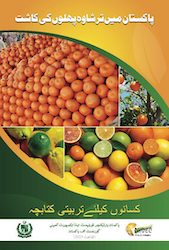 Citrus Booklet