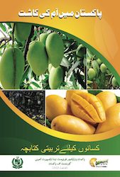 Mango Booklet