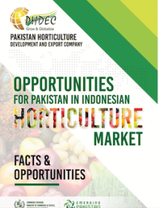 Opportunities for Pakistan in Indonesia