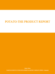 Product Report – Potato