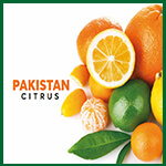 Pakistan Citrus