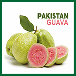Pakistan Guava