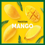 Pakistan Mango