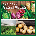 Pakistan Vegetable