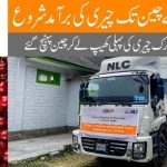 Opening of the Chinese Market for Pakistani Cherries (June 2024)