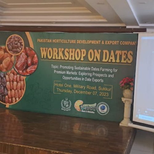 Workshop on Dates in Sukkur